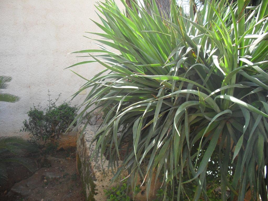 Casa Petros Apartment Marsala Exterior photo